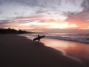 Austrália cestovanie Noosa Beach