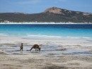 Austrália cestovanie Near Esperance