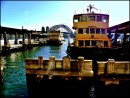 Austrália cestovanie Circular Quay