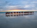 Austrália cestovanie Cable Beach 