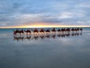 Austrália cestovanie Cable Beach 