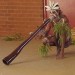 DIDGERIDOO