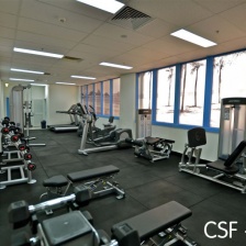 CSFGym